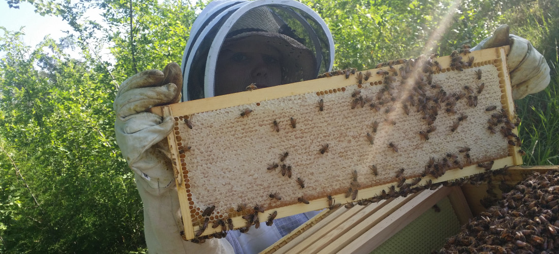 brianna-holding-honey-comb