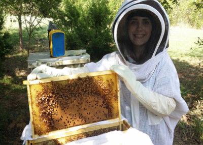 beginner_beekeeping_101_classes