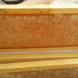 frame-of-capped-honey