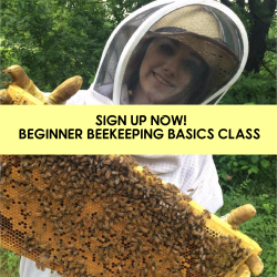 Beginner Beekeeping Class
