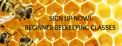 Beginner Beekeeping Classes