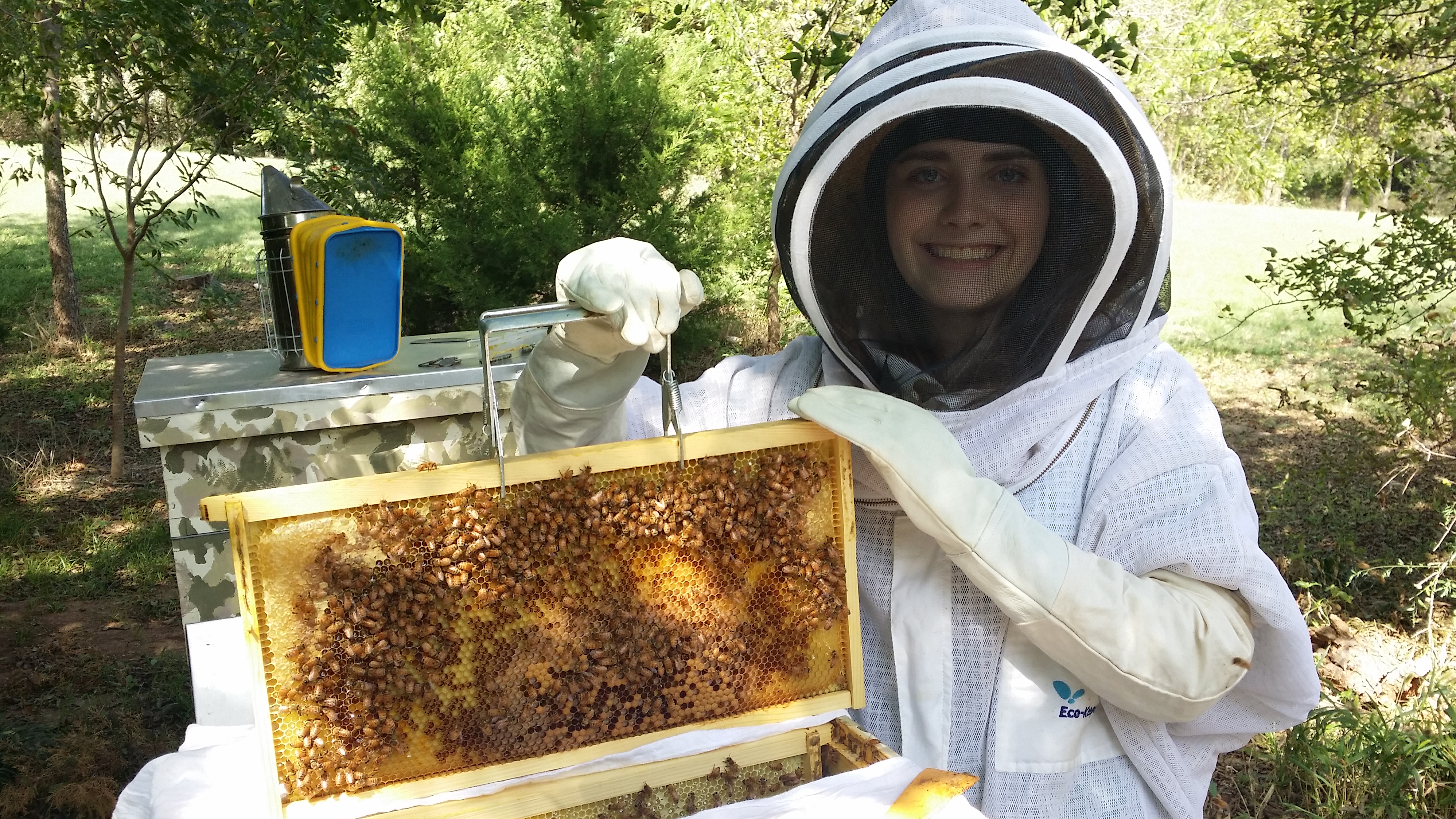 beekeeping-101-training