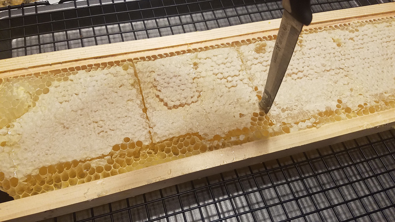 cutting comb honey